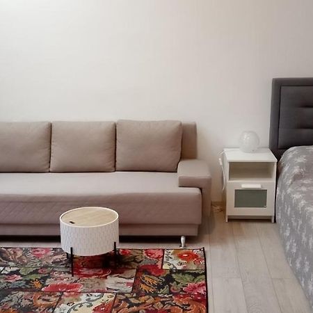 Piata Muzeului 1 Apartamento Cluj-Napoca Exterior foto
